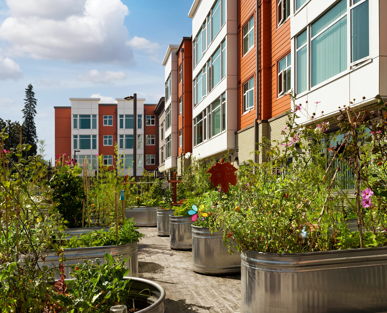 Eleanor Apartments RMC Architects